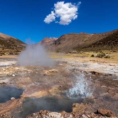A Découvrir en Bolivie - Le Parc de Sajama