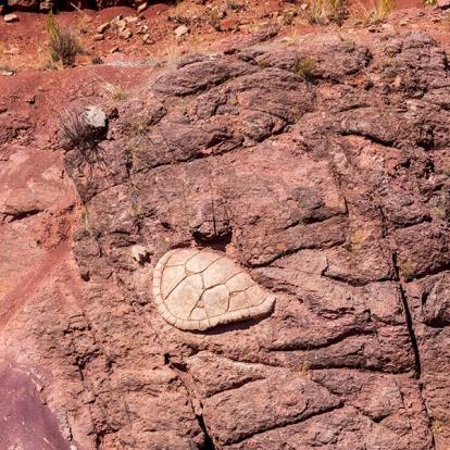 Parc National De Torotoro - Fossile De Tortue A Découvrir en Bolivie - Le Parc de Torotoro
