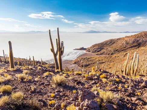 A Découvrir en Bolivie -  Le Salar de Uyuni