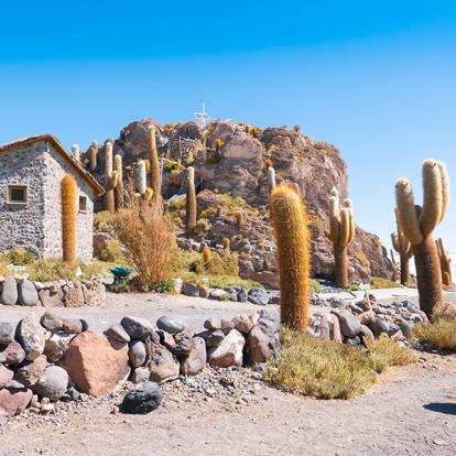 A Découvrir en Bolivie -  Le Salar de Uyuni