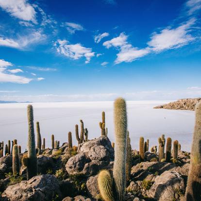 A Découvrir en Bolivie -  Le Salar de Uyuni