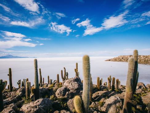 A Découvrir en Bolivie -  Le Salar de Uyuni