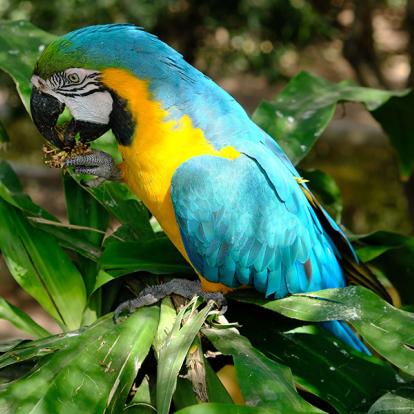 A Découvrir en Bolivie - Santa Cruz de la Sierra