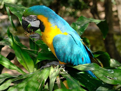 A Découvrir en Bolivie - Santa Cruz de la Sierra
