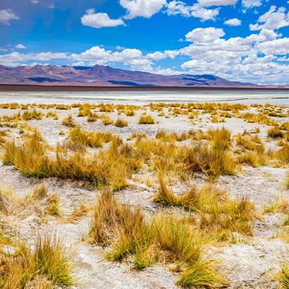 Réserve Nationale Eduardo Avaroa A Découvrir en Bolivie - Le Lipez