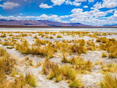 Réserve Nationale Eduardo Avaroa A Découvrir en Bolivie - Le Lipez