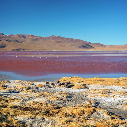 Lipez - Laguna Colorada A Découvrir en Bolivie - Le Lipez