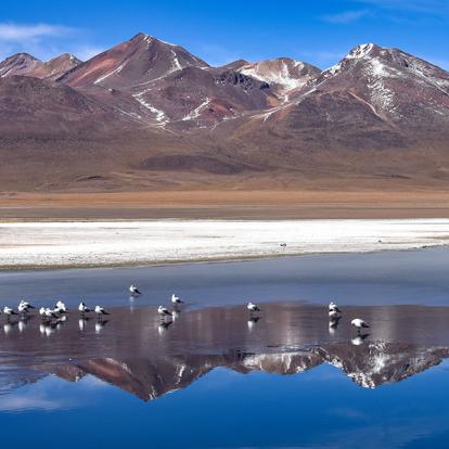Laguna Canapa - Sud Lipez A Découvrir en Bolivie - Le Lipez