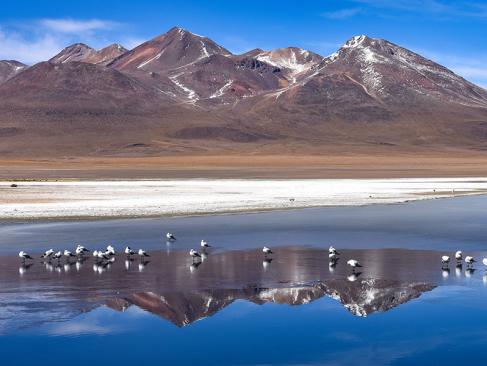 Laguna Canapa - Sud Lipez A Découvrir en Bolivie - Le Lipez