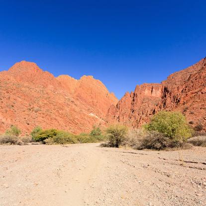 A Découvrir en Bolivie - Tupiza