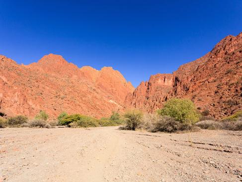 A Découvrir en Bolivie - Tupiza