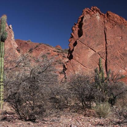 A Découvrir en Bolivie - Tupiza