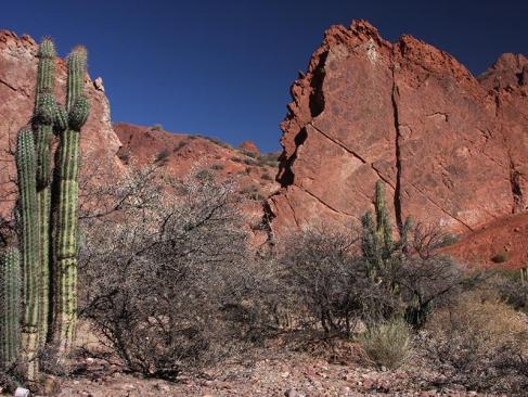 A Découvrir en Bolivie - Tupiza