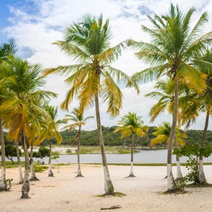 A Découvrir au Brésil - Salvador de Bahia