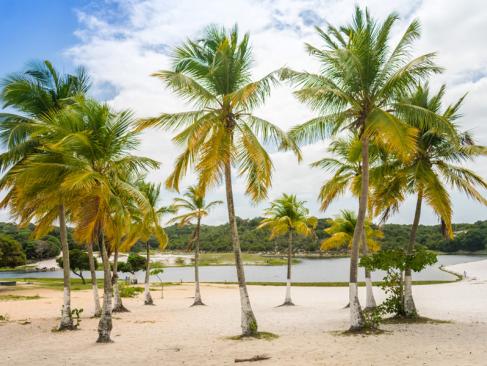 A Découvrir au Brésil - Salvador de Bahia