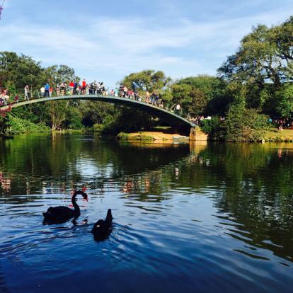 A Découvrir au Brésil - Sao Paulo