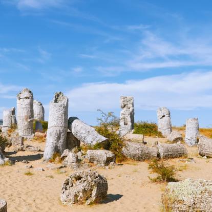 Forêt Pétrifiée - Pobitite Kamani A Découvrir en Bulgarie - La Forêt Pétrifiée - Pobitite Kamani