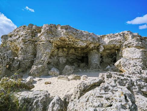 La Forêt Pétrifiée - Pobitite Kamani A Découvrir en Bulgarie - La Forêt Pétrifiée - Pobitite Kamani