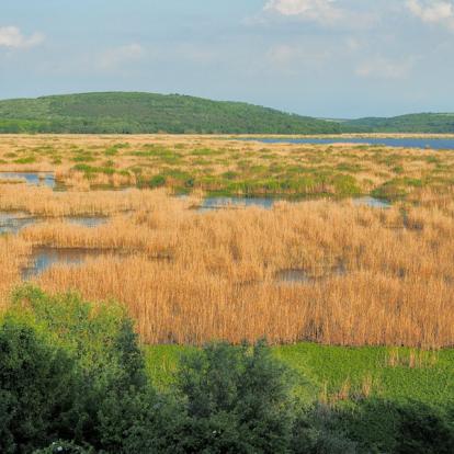 A Découvrir en Bulgarie - La Réserve Naturelle de Srébarna