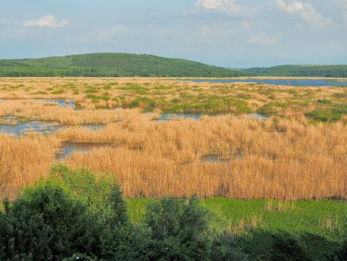A Découvrir en Bulgarie - La Réserve Naturelle de Srébarna