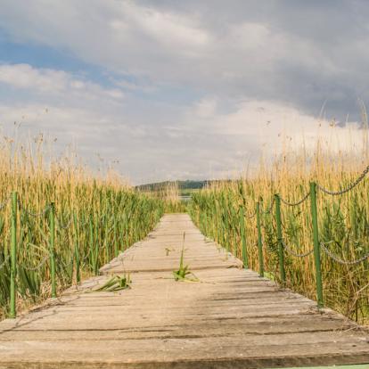 A Découvrir en Bulgarie - La Réserve Naturelle de Srébarna