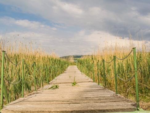 A Découvrir en Bulgarie - La Réserve Naturelle de Srébarna