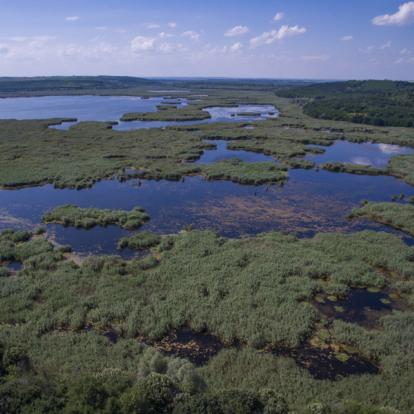 A Découvrir en Bulgarie - La Réserve Naturelle de Srébarna