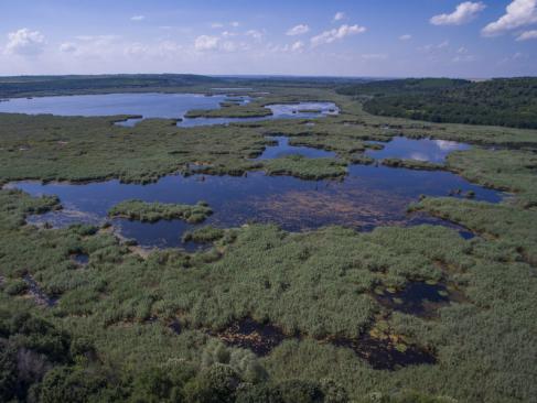 A Découvrir en Bulgarie - La Réserve Naturelle de Srébarna