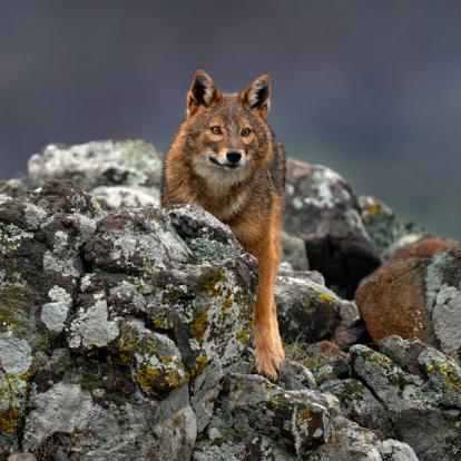 Les Rhodopes A Découvrir en Bulgarie - Les Rhodopes