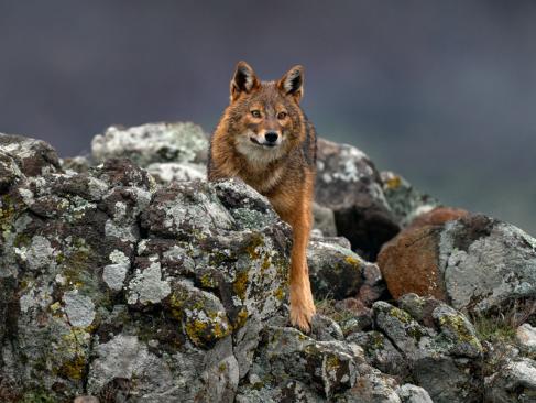 Les Rhodopes A Découvrir en Bulgarie - Les Rhodopes