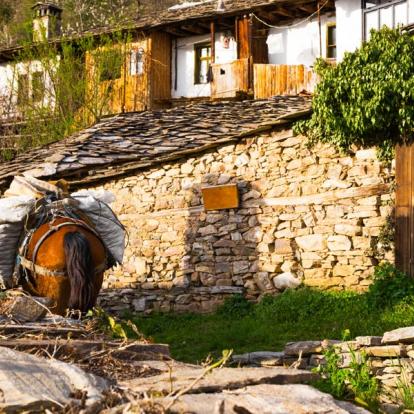 A découvrir en Bulgarie - Leshten