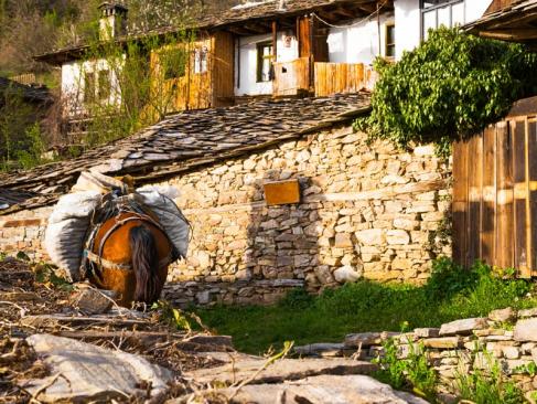 A découvrir en Bulgarie - Leshten