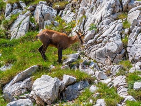 A Découvrir en Bulgarie - Le Parc National de Pirin
