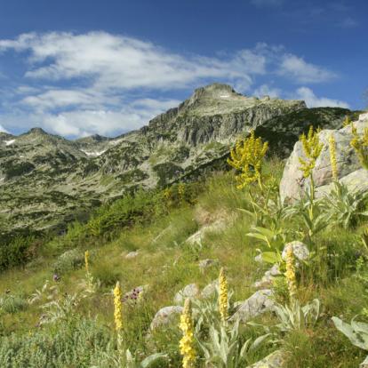 A Découvrir en Bulgarie - Le Parc National de Pirin