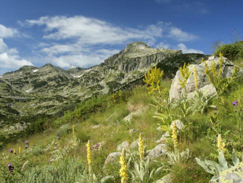 A Découvrir en Bulgarie - Le Parc National de Pirin