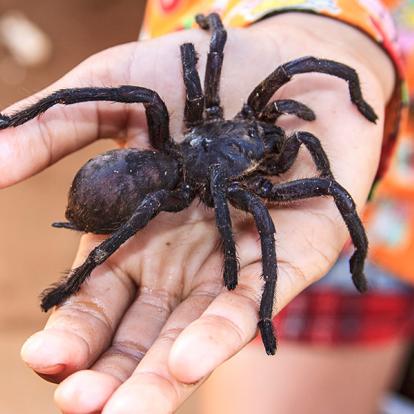 A Découvrir au Cambodge - Kompong Cham