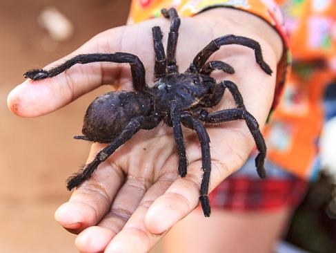 A Découvrir au Cambodge - Kompong Cham
