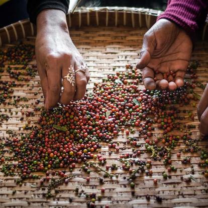 A Découvrir au Cambodge - Kampot