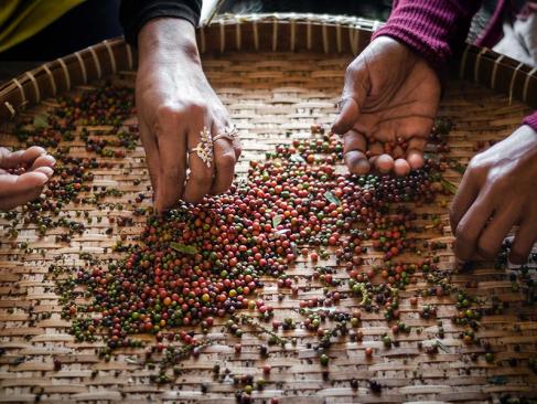 Kampot A Découvrir au Cambodge - Kampot