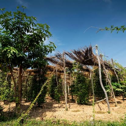 Kampot A Découvrir au Cambodge - Kampot