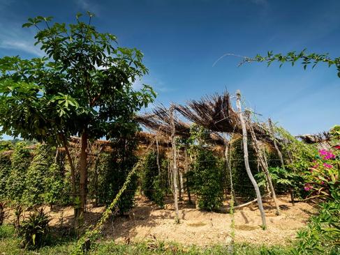 Kampot A Découvrir au Cambodge - Kampot