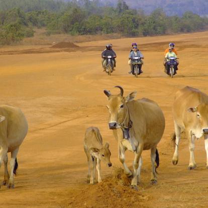 A Découvrir au Cambodge - La Province du Mondolkiri