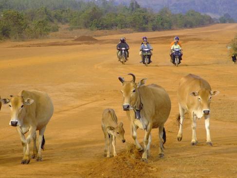 A Découvrir au Cambodge - La Province du Mondolkiri