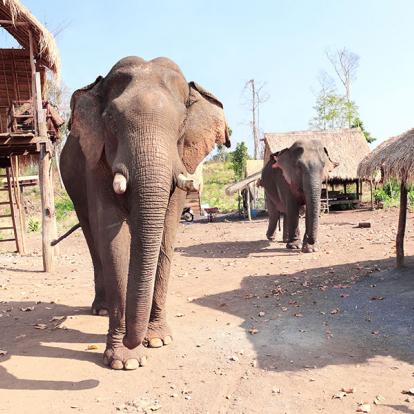 A Découvrir au Cambodge - La Région du Ratanakiri