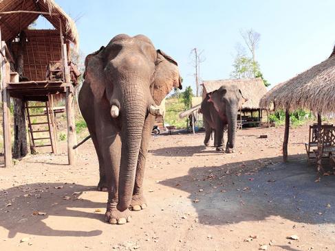 A Découvrir au Cambodge - La Région du Ratanakiri