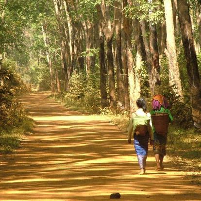 A Découvrir au Cambodge - La Région du Ratanakiri