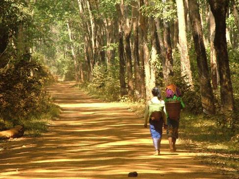 A Découvrir au Cambodge - La Région du Ratanakiri