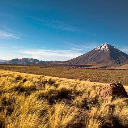 A Découvrir au Chili - Désert de l'Atacama