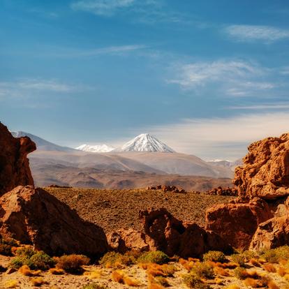 A Découvrir au Chili - Désert de l'Atacama