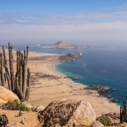 A Découvrir au Chili - Désert de l'Atacama
